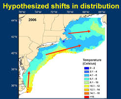 Prototypal Water Temp Chart East Coast 2019