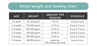 22 Logical Kitten Healthy Weight Chart