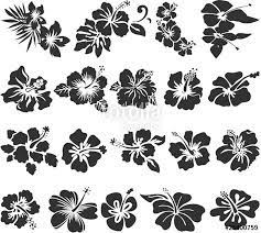Damit unsere seite kostenlos bleibt und ständig neue bilder bekommt, wird sie von sponsoren unterstützt. Die 14 Besten Ideen Zu Hibiskus Tattoo Hibiskus Tattoo Hibiskus Tatowierungen