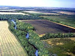 A wildlife corridor, habitat corridor, or green corridor1 is an area of habitat connecting wildlife populations separated by human activities or structures (such as roads, development, or logging). Introduction To Wildlife Corridors Geography Realm