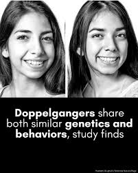 Genetic reveals in twin lookalike comparisons
