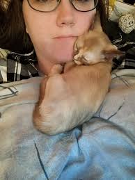 Hey Pandas, Post Your Animal(s) You Have Right Now (Closed)