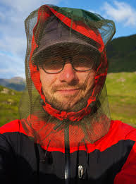 Midges in Scotland: How to Deal with Them (2025 Guide)