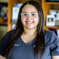 40+ "Dipaola" profiles