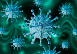 Facts about the Coronavirus (Covid-19) | Sol y Mar Magazine