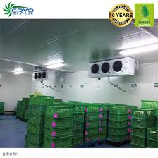 You still have less than a thousand dollars for the cooling unit including the controller. China Frozen Garlic Bread Frozen Banana Public Cold Storage For Sale Walk In Freezer Diy Cold Room China Blast Chilling Blast Freezer For Sale