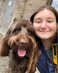 New Kid Alert 📢 Welcome to the LMDDC family, Reggie (TL), Bailey (BL),  Kelce Brown (TR) & George (BR)! We're so happy to have you! ❤  #newfacesofLMDDC #firstdaypup #BarkOutLoud