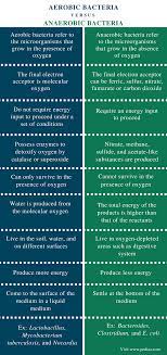 Difference Between Aerobic And Anaerobic Bacteria Comparison Summary Eukaryotic Cell Cell Biology Notes Cell Biology