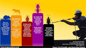 Our pest control services are safe, effective, and affordable. We Are Eco Pest Control Professional Pest Control And Termite Control Service In Bali The Area S Finest Pest Pest Control Eco Pest Control Safe Pest Control