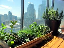 You'll need a redwood frame, chain, and surplus military ammunition canisters for this diy. Grass On The Balcony How To Create An Herb Garden Interior Design Ideas Ofdesign