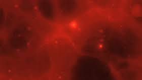 Choose from hundreds of free virtual zoom backgrounds. Top 30 Zoom Background Gifs Find The Best Gif On Gfycat
