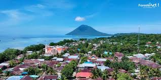 Check spelling or type a new query. Taman Nasional Bunaken
