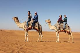 Its roots are very much aligned with the. Camel Ride Along The Desert Picture Of Dubai Private Adventure Dubai Tripadvisor
