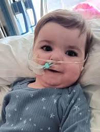 Paul Andrew Vician Obituary (2024)