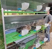 Good Quality Industrial European Style Commercial Rabbit Cages European  Rabbit Cage