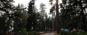 Located on the east shore of kootenay lake just 12 minutes south of the kootenay bay ferry on highway 3a, cedar grove campground offers a friendly, family like atmosphere. Sunset Campground Sequoia Kings Canyon National Park Grant Grove California Womo Abenteuer