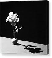 We did not find results for: Flower In Vase By Horst P Horst