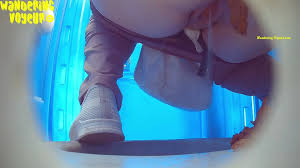 Bio Toilet Poop Voyeur - 10 - ThisVid.com