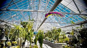 The latest ones are on dec 02, 2020 8 new succulents wholesale nurseries near me results have been found in the last 90 days, which means. Home Page Belgian Nursery