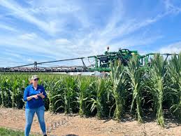 Why Do They Do That? – Detasseling Corn | Iowa Agriculture Literacy