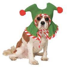 Santa S Elf Hat Pet Accessory Http Www Thepuppy Org Santas Elf Hat Pet Accessory Santa Stuffed Animal Dog Lovers Christmas Christmas Animals