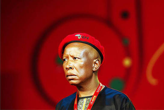 Kill the Boer' ruling could come back to haunt Malema in 'cockroach' hate speech appeal - experts | News24