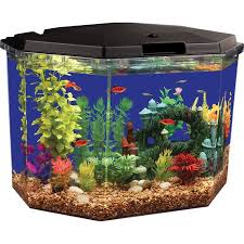 Aquarium Supplies Checklist Walmart Com