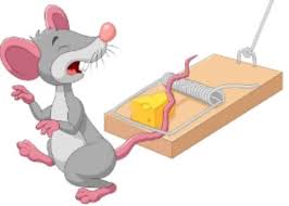 I made this no kill mouse trap with a funnel, bottle, nails and a hot glue gun. 11 Best Mouse Traps In 2021 Detailed Reviews
