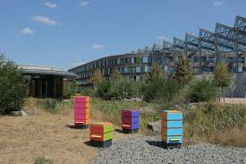 Apitherapie durch inhaltion mit bienenstockluft. Ein Haus Fur Die Bienen Umweltbundesamt