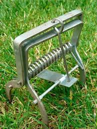 Methods for getting rid of moles in your lawn. How To Get Rid Of Moles Naturally The Best Eco Friendly Methods Of Complete Elimination Of Moles