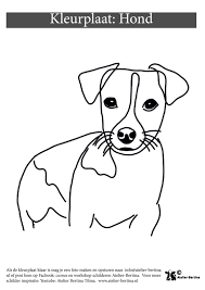 Hond Kleurplaat Kleurplaten Voor Jong En Oud Atelier Bertina