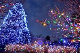 Top 10 Most Amazing Christmas Trees In The United States Christmas Pictures Beautiful Lights Before Christmas Outdoor Christmas Tree Decorations