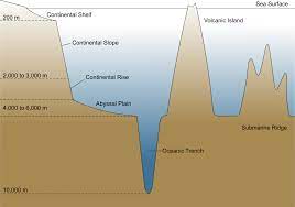 The deep sea or deep layer is the lowest layer in the ocean, existing below the thermocline and above the seabed, at a depth of 1000 fathoms (1800 m) or more. Abyssal Plain Wikipedia