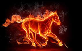 See animal background stock video clips. Wallpapers For Cool Animal Backgrounds Horse Wallpaper Fire Horse Fire Art