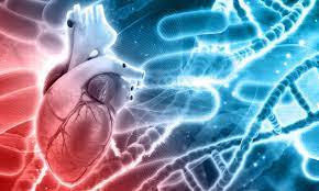 Προϊόντα για τα οποία παρέχεται δυνατότητα εγκατάστασης από τα αντίστοιχα καταστήματα. Apognwsh Stis Kardiologikes Klinikes Den Yparxei Proypologismos Gia Bhmatodotes Kai Apinidwtes Iatropedia