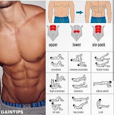 Pin On Belly Fat Lose It