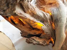 Treibholz Wurzel Mit Beleuchtung Anleitung Treibholzwurzel Mit Licht Naturliche Dekoration Regalbeleuchtung Holz