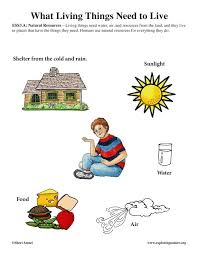 What Animals Need To Live Poster Science Activities Learning Science Kindergarten Science