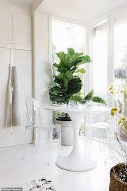 Elena Bracchi (elena_bracchi)