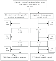 Flow Chart Of Enrolment Of Chronic Hepatitis B Patients With