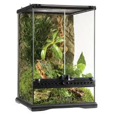 Exo Terra Large Reptile Terrarium Reptile Terrarium Terrarium Rainforest Habitat