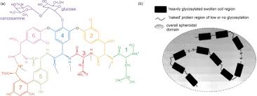 Image result for Vancomycin