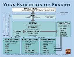 yoga evolution of prakrti from samkhya karika of