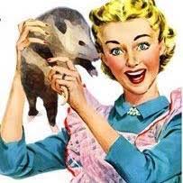 Possum Up A Gum Stump Band