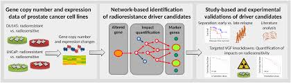Despite this, pancreatic cancer is among the deadliest types of cancer, which is why it's extremely important to know and recogni. Network Based Analysis Of Prostate Cancer Cell Lines Reveals Novel Marker Gene Candidates Associated With Radioresistance And Patient Relapse