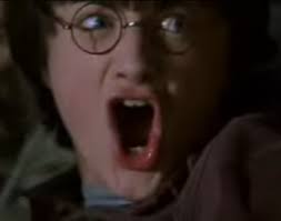 Henri Chômeur à l'école des sorciers