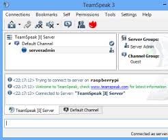 Works even in the current year! Raspberry Pi Teamspeak 3 Server 5 Steps With Pictures Instructables