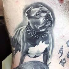 We did not find results for: 50 Pitbull Tattoo Designs For Men Dog Ink Ideas