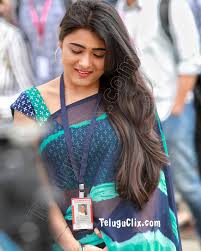 21 dec hamsa in sanskrit means swan. Telugu Actress