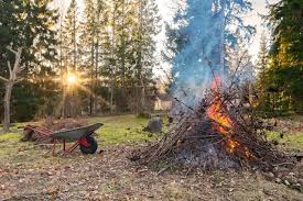 Pouvez Vous Bruler L Herbe Tondue Ou Les Branches Mortes Dans Votre Jardin